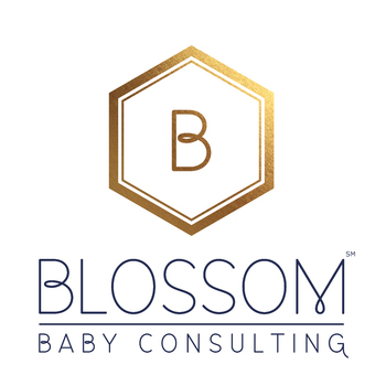 Blossom Baby Consulting
