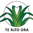 Te Rito Ora Breastfeeding and Infant Nutrition and Midwifery Recruitment - Counties Manukau DHB