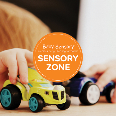 Sensory Zone 