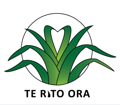 Te Rito Ora Breastfeeding and Infant Nutrition and Midwifery Recruitment - Counties Manukau DHB